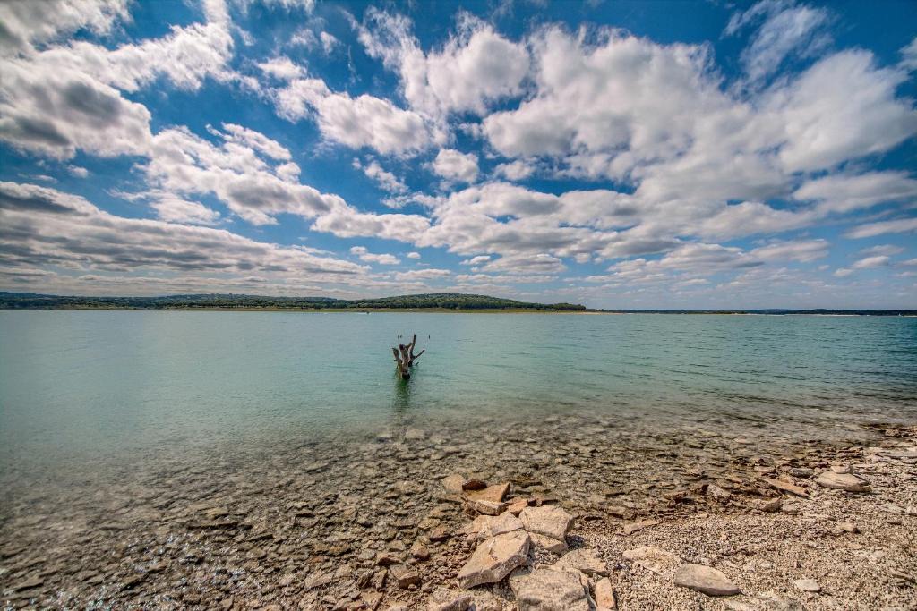 Shore Thing | Canyon Lake