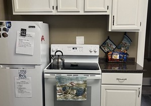 Bungalow-Beach-Dogs-Boat-REMODEL finished!