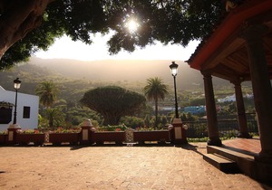 Drago Nest Hostel