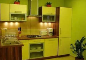 Flat in Fonyód with beautiful garden