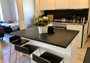 Scandinavian Desing Home 37 City Center in Kamppi