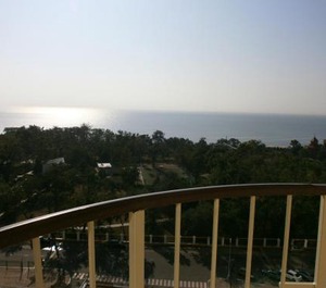 The Sea 