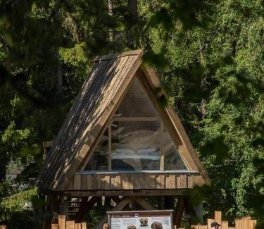 Ahtari Villa | Ähtäri Zoo Villa Ursus