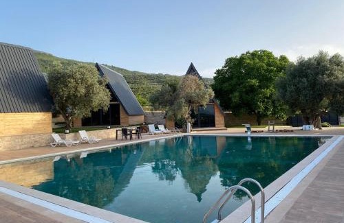 Alacali House | Çırağan Deluxe BOTANİK Park Bungalov Evleri