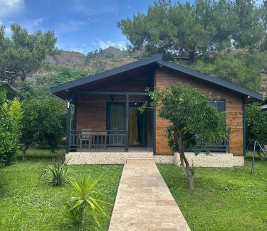 Cirali Villa | Çıralı Villa's