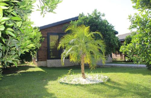 Cirali Villa | Çıralı Villa's