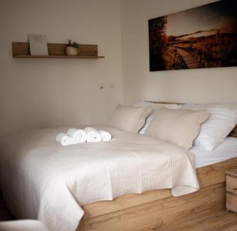 Cerna V Posumavi Apartment | Útulné studio na břehu Lipna