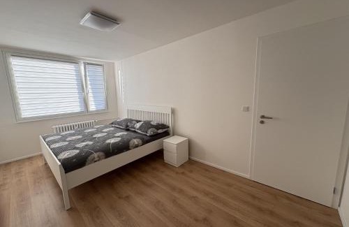 Chodov Apartment | Čenětická Apartment