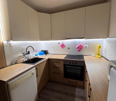 Petrovaradin House | Čerevićki Raj