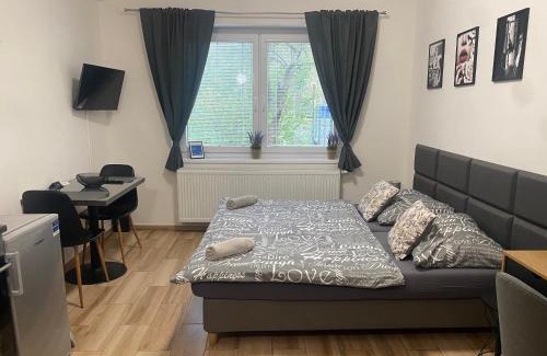 Plzen 2-Slovany Apartment | Černá Růže - Apartmán 7