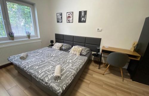 Plzen 2-Slovany Apartment | Černá Růže - Apartmán 7