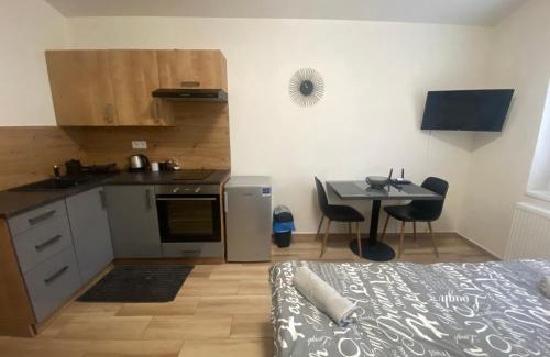 Plzen 2-Slovany Apartment | Černá Růže - Apartmán 7