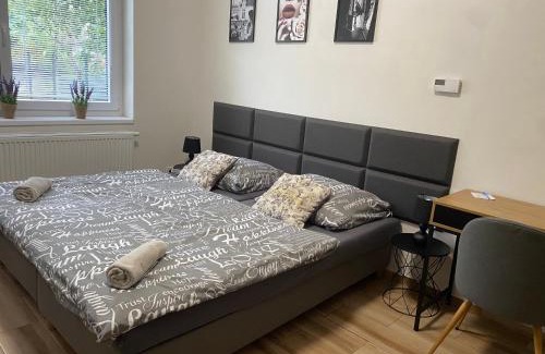 Plzen 2-Slovany Apartment | Černá Růže - Apartmán 7