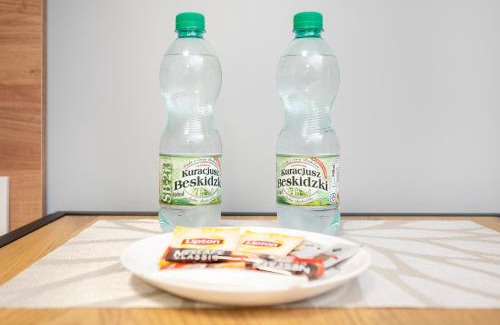 Srodmiescie Apartment | Łódź Fabryczna Deluxe Studio