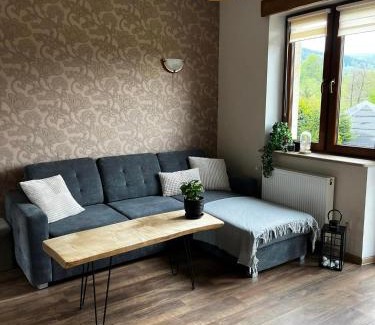 Stara Morawa House | Śnieżnicki Domek - Masyw Śnieżnika, Sudety