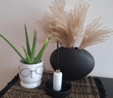 Siauliai City Center Apartment | Šiauliai Central Cozy Apartment