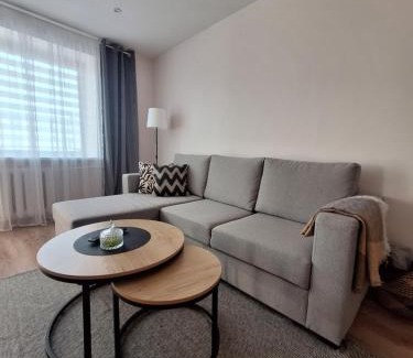 Siauliai City Center Apartment | Šiauliai Central Cozy Apartment