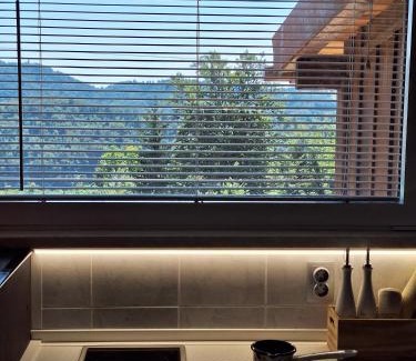 Vidrga Apartment | Štibelc FRIDA