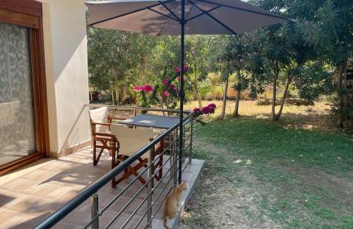 Therma Apartment | Ενοικιαζόμενα Έλενα