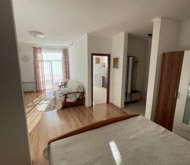 Truskavets Apartment | Апартаменти з балконом студія без окремої спальні