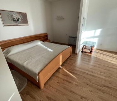 Truskavets Apartment | Апартаменти з балконом студія без окремої спальні