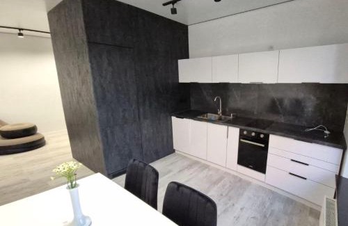 Shevchenkivs'kyi District Apartment | Апартаменти з терасою в центрі міста