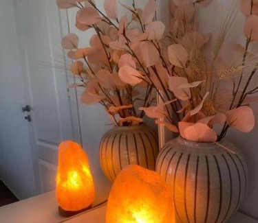 Zlatograd Apartment | Апартамент за гости Лена Златоград