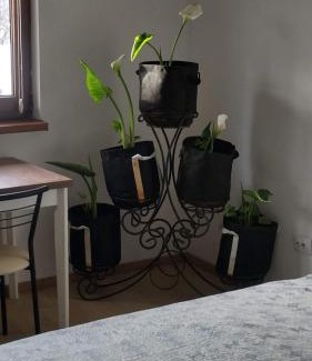 Skhidnytsya Apartment | Будинок біля лісу