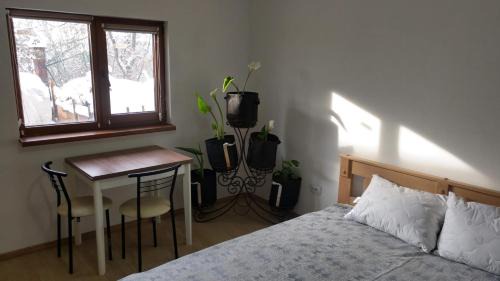 Skhidnytsya Apartment | Будинок біля лісу