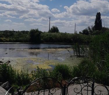 Khmelnytskyi Oblast Cabin | Будиночок біля лісу