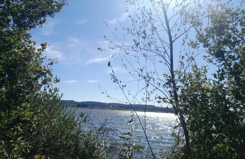 Khmelnytskyi Oblast Cabin | Будиночок біля лісу