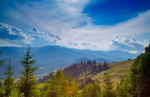 Snidavka House | Велика Дзен Хата