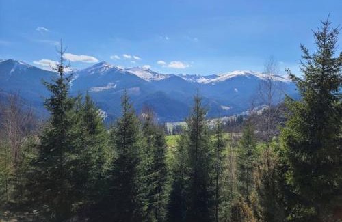 Snidavka House | Велика Дзен Хата