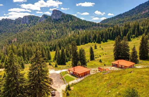 Pamporovo Villa | Вила Морава