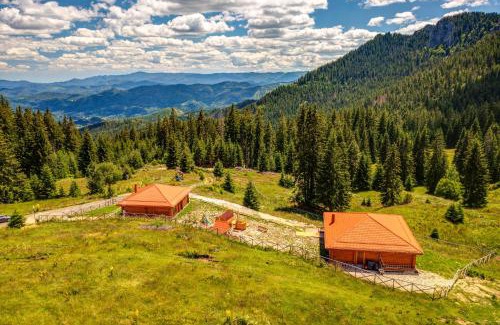 Pamporovo Villa | Вила Морава