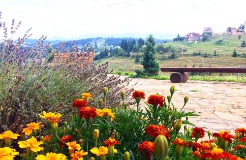 Yablunytsya Apartment | Вовкаль