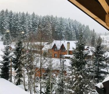 Skhidnytsya Apartment | Вілла Лісова комфорт