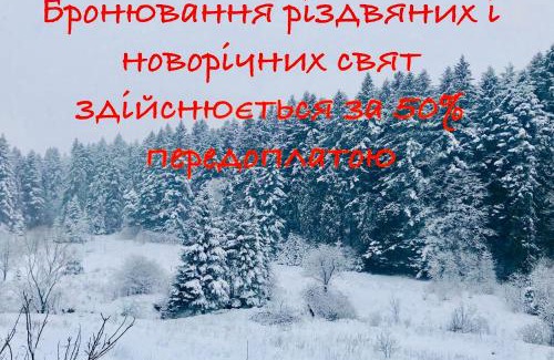 Skhidnytsya Apartment | Вілла Лісова комфорт