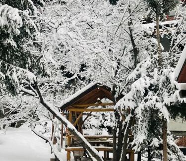 Skhidnytsya Apartment | Вілла Лісова комфорт