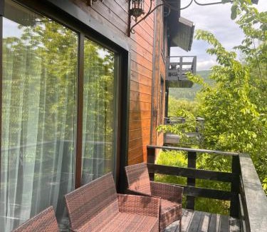 Skole House | Гармонія біля річки