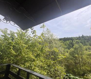 Skole House | Гармонія біля річки