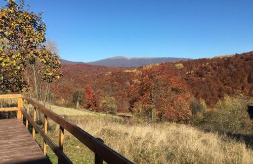 Serednye Other | Глемпінг luxury