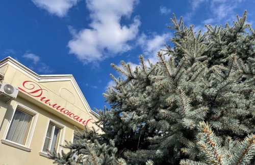 Dorozhnyy Hotel | Гостиница Дилижанс