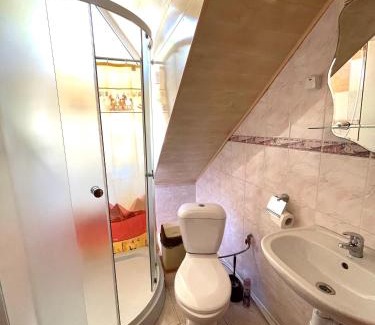 Vyzhenka Hotel | Гірський узвіз