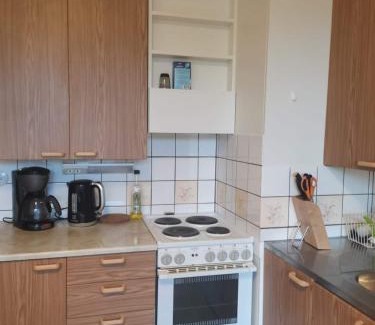 Imatra Apartment | Двухкомнатные просторные апартаменты.