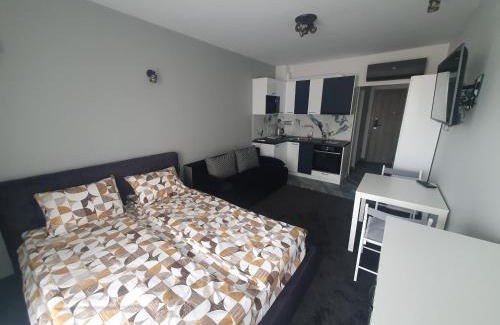 Iskar Apartment | Димоти Апартхотел