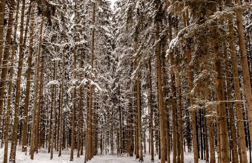 Vitebsk Region House | Дом отдыха Эридан