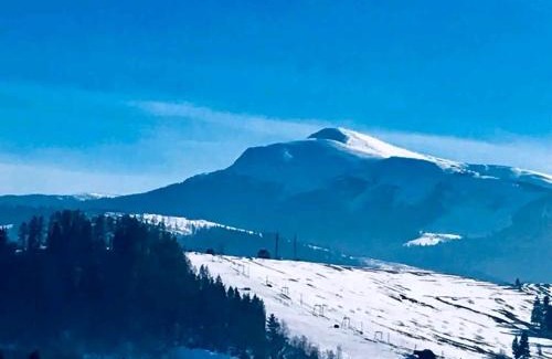 Yasinya Hotel | Едельвейс-Будапешт