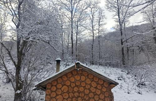 Transcarpathia House | Еко Садиба Під Полониною