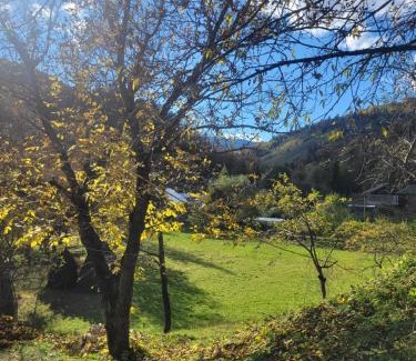 Roztoky House | Забрус насолоди